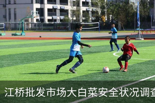 江桥批发市场大白菜安全状况调查